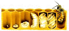 Die Entwicklung auf einen Blick